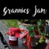 Flavor :  Granny S Jam by Classic Dampf