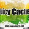 Flavor :  Juicy Cactus by Cloud Shots