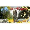 Flavor :  E Tiger by Cloud's of Lolo