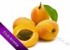 Flavor :  Aprikose by Club Aroma