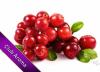 Flavor :  Cranberry by Club Aroma