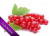 Flavor :  Johannisbeere by Club Aroma