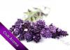Flavor :  Lavendel by Club Aroma