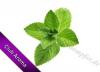 Flavor :  Menthol by Club Aroma