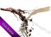 Flavor :  Milch Schoki by Club Aroma