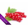 Flavor :  Preiselbeere by Club Aroma