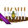 Flavor :  Tabak No 201 by Club Aroma