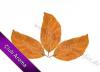Flavor :  Tabak No 245 by Club Aroma