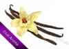 Flavor :  Vanille by Club Aroma