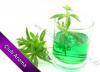 Flavor :  Waldmeister by Club Aroma