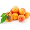 Flavor :  Abricot Fruit by CorsicaVap