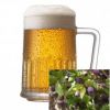 Flavor :  Biere A La Myrte by CorsicaVap