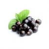 Flavor :  Cassis by CorsicaVap