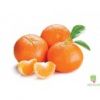 Flavor :  Clementine by CorsicaVap
