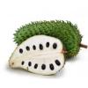 Flavor :  Corossol Guanabana by CorsicaVap