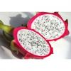 Flavor :  Fruit Du Dragon by CorsicaVap