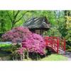 Flavor :  Jardin Japonais by CorsicaVap