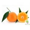 Flavor :  Mandarine by CorsicaVap
