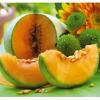 Flavor :  Melon by CorsicaVap