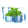 Flavor :  Menthe Fraiche by CorsicaVap