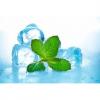 Flavor :  Menthe Glaciale by CorsicaVap
