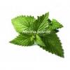 Flavor :  Menthe Poivree by CorsicaVap