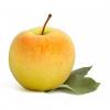 Flavor :  Pomme Jaune by CorsicaVap