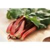 Flavor :  Rhubarbe by CorsicaVap