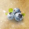 Flavor :  Blueberry by Crave
