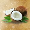 Flavor :  Coconut by Crave