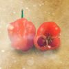 Flavor :  Habanero by Crave