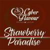 Flavor :  Strawberry Paradise by Cyber Flavour