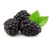 Flavor :  Brombeer by Dampfdorado