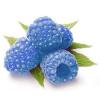 Flavor :  Blaue Himbeere par DAMPFER-TAXI