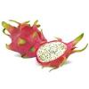 Flavor :  Drachenfrucht by Dampfer-Taxi