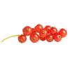 Flavor :  Johannisbeeren by Dampfer-Taxi