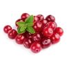 Flavor :  Preiselbeeren by Dampfer-Taxi