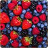 Flavor :  Berry Land by Dark Burner