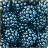 Flavor :  Brombeere by Dark Burner