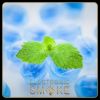Flavor :  Eukalyptus Minze by Dark Burner