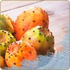 Flavor :  Ice Cactus Fig by Dark Burner