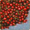 Flavor :  Ice Cherry by Dark Burner