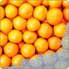 Flavor :  Ice Orange par DARK BURNER