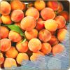 Flavor :  Ice Peach by Dark Burner