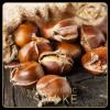 Flavor :  Iced Chesnut by Dark Burner