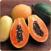 Flavor :  Papaya by Dark Burner