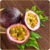 Flavor :  Passionsfrucht Maracuja by Dark Burner