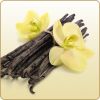 Flavor :  Vanille by Dark Burner
