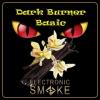 Flavor :  Vanille Basic by Dark Burner