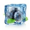 Flavor :  Blueberry Ice by Decadent Vapours